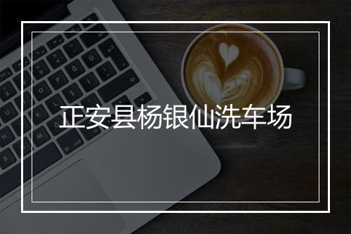 正安县杨银仙洗车场