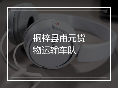 桐梓县甫元货物运输车队