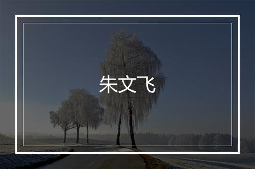 朱文飞