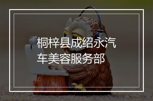 桐梓县成绍永汽车美容服务部