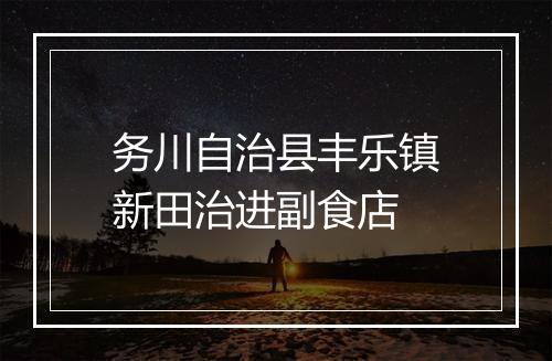 务川自治县丰乐镇新田治进副食店