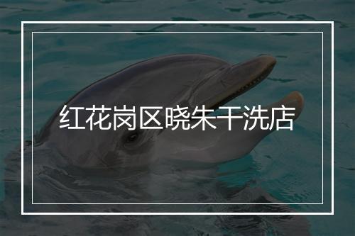 红花岗区晓朱干洗店