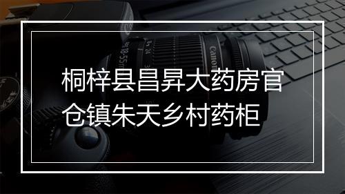 桐梓县昌昇大药房官仓镇朱天乡村药柜