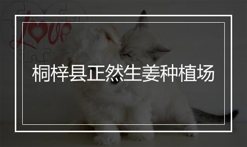 桐梓县正然生姜种植场