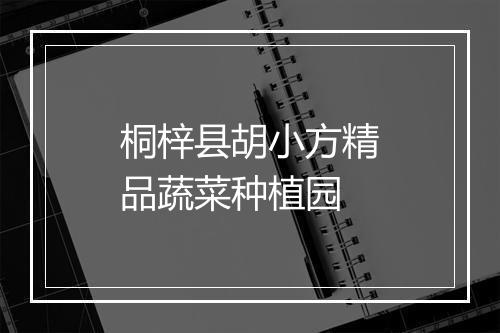 桐梓县胡小方精品蔬菜种植园