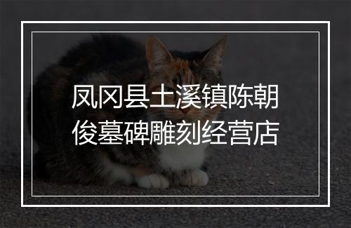 凤冈县土溪镇陈朝俊墓碑雕刻经营店