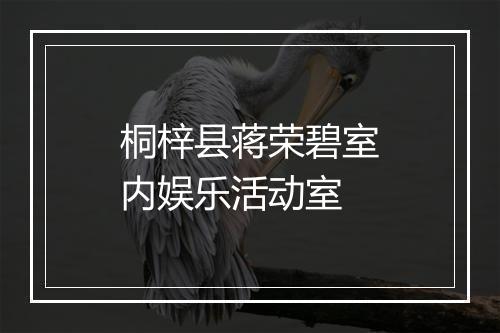 桐梓县蒋荣碧室内娱乐活动室