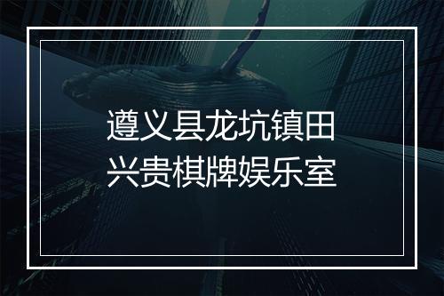 遵义县龙坑镇田兴贵棋牌娱乐室
