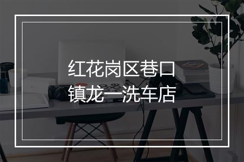 红花岗区巷口镇龙一洗车店