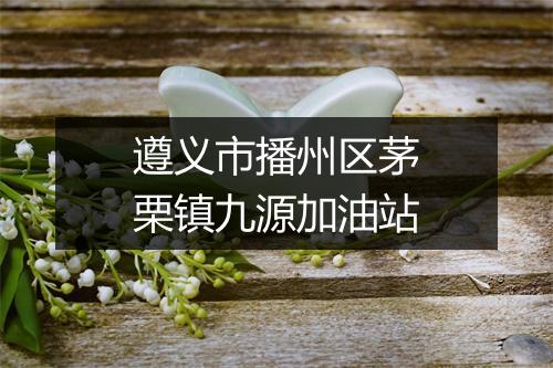 遵义市播州区茅栗镇九源加油站