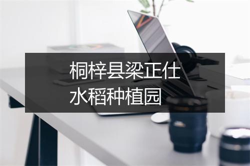 桐梓县梁正仕水稻种植园
