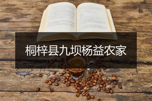桐梓县九坝杨益农家