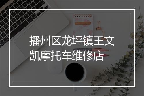 播州区龙坪镇王文凯摩托车维修店