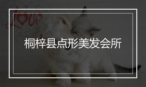 桐梓县点形美发会所
