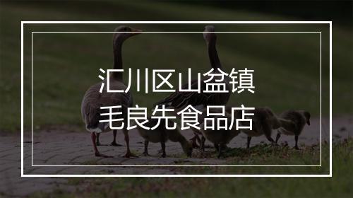 汇川区山盆镇毛良先食品店