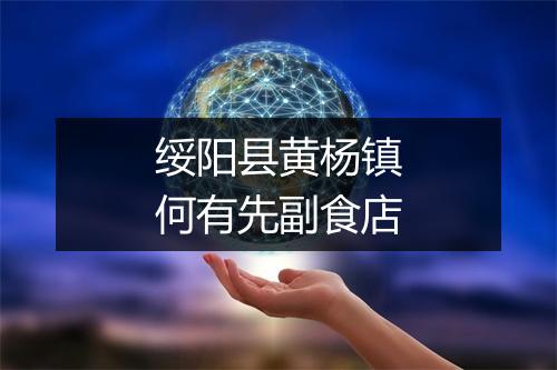 绥阳县黄杨镇何有先副食店