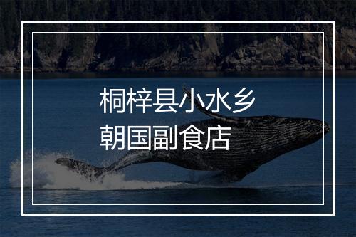 桐梓县小水乡朝国副食店