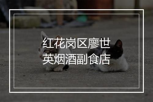红花岗区廖世英烟酒副食店