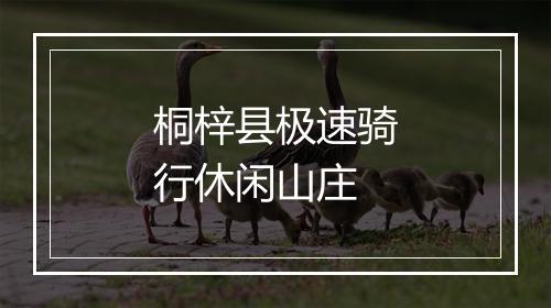 桐梓县极速骑行休闲山庄