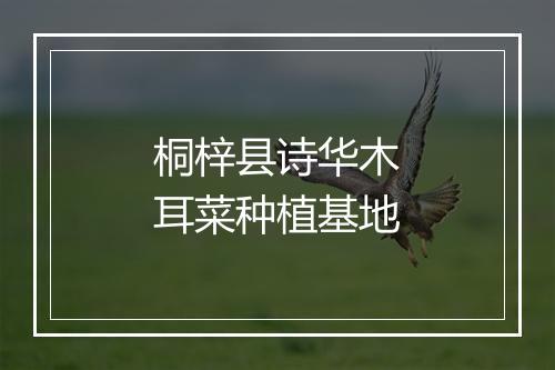 桐梓县诗华木耳菜种植基地