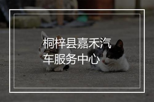 桐梓县嘉禾汽车服务中心