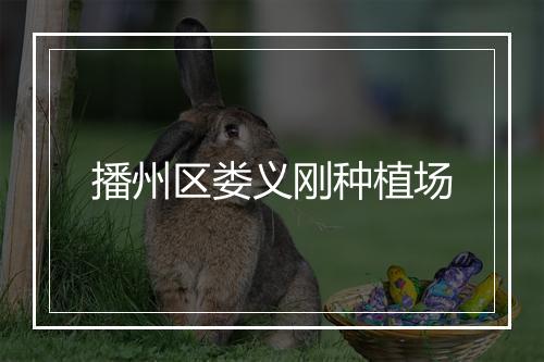 播州区娄义刚种植场