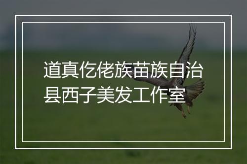 道真仡佬族苗族自治县西子美发工作室