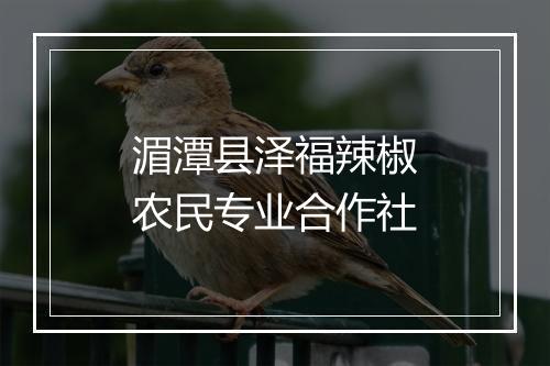 湄潭县泽福辣椒农民专业合作社