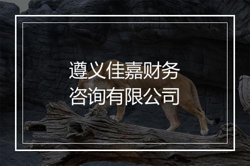 遵义佳嘉财务咨询有限公司