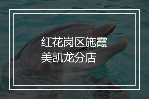 红花岗区施霞美凯龙分店