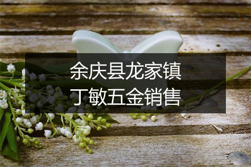 余庆县龙家镇丁敏五金销售