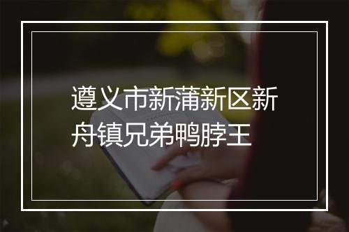 遵义市新蒲新区新舟镇兄弟鸭脖王