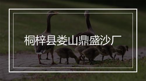 桐梓县娄山鼎盛沙厂