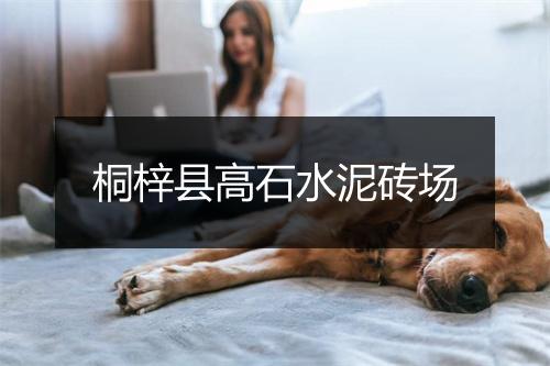 桐梓县高石水泥砖场