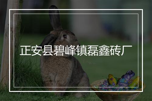 正安县碧峰镇磊鑫砖厂