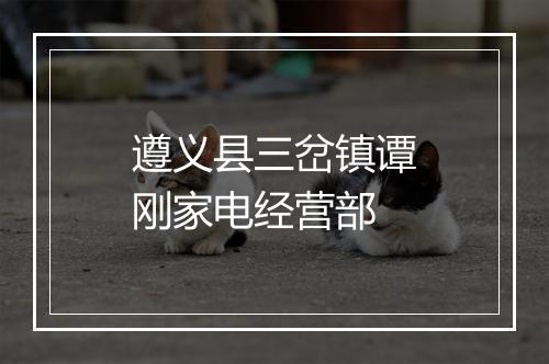 遵义县三岔镇谭刚家电经营部