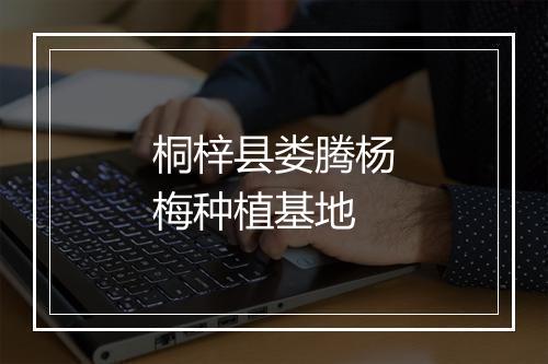 桐梓县娄腾杨梅种植基地