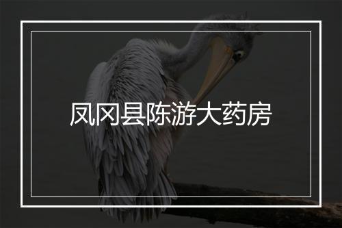 凤冈县陈游大药房