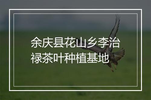 余庆县花山乡李治禄茶叶种植基地