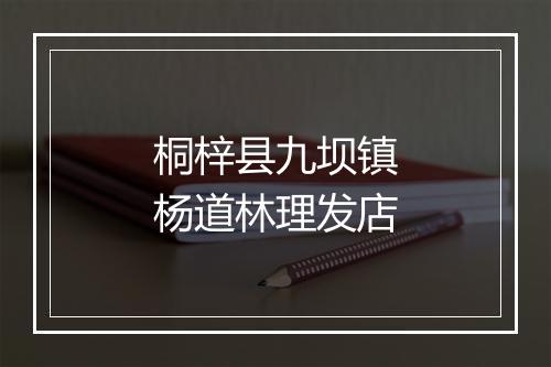 桐梓县九坝镇杨道林理发店