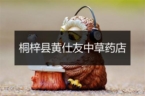 桐梓县黄仕友中草药店