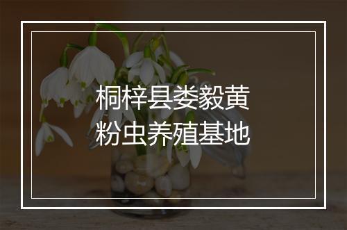 桐梓县娄毅黄粉虫养殖基地