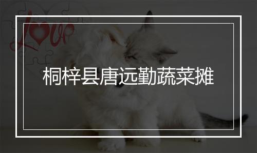 桐梓县唐远勤蔬菜摊