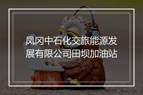 凤冈中石化交旅能源发展有限公司田坝加油站