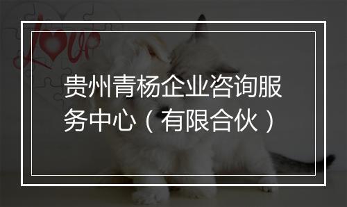 贵州青杨企业咨询服务中心（有限合伙）