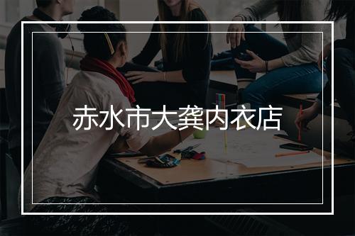 赤水市大龚内衣店