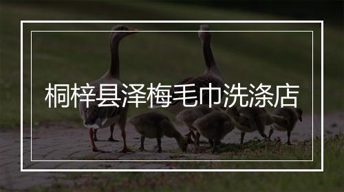 桐梓县泽梅毛巾洗涤店