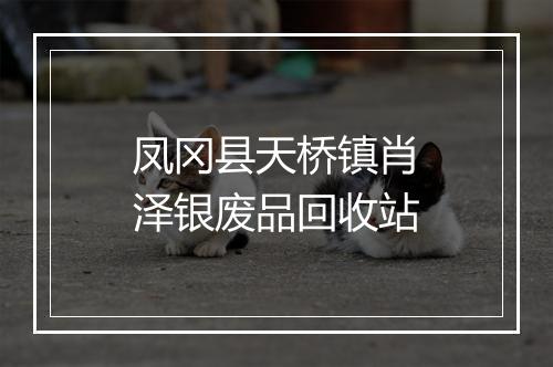 凤冈县天桥镇肖泽银废品回收站