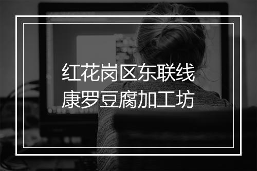 红花岗区东联线康罗豆腐加工坊