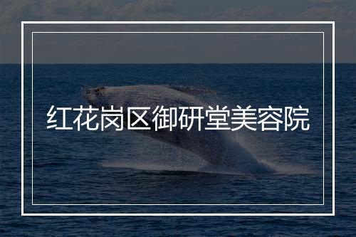 红花岗区御研堂美容院